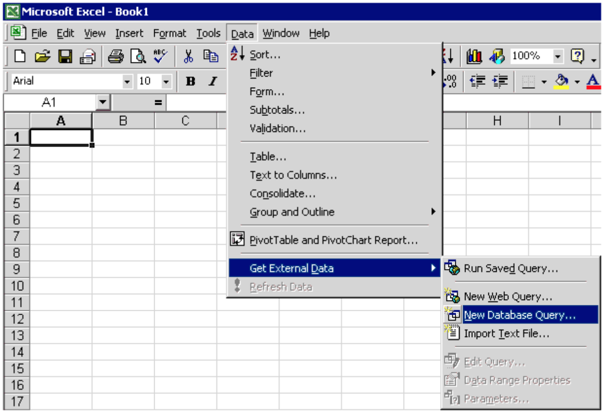 Excel 2000 Data Menu (2000)